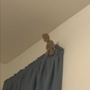 Meet your Posher, Marcos